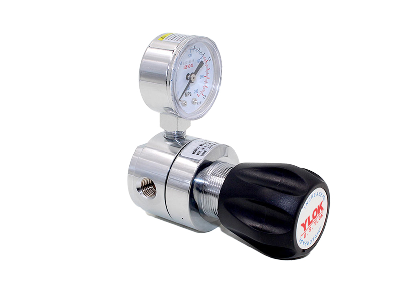 進(jìn)口液體背壓閥