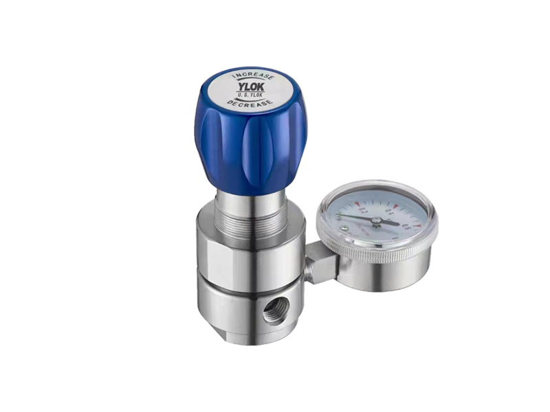 進(jìn)口高純背壓閥