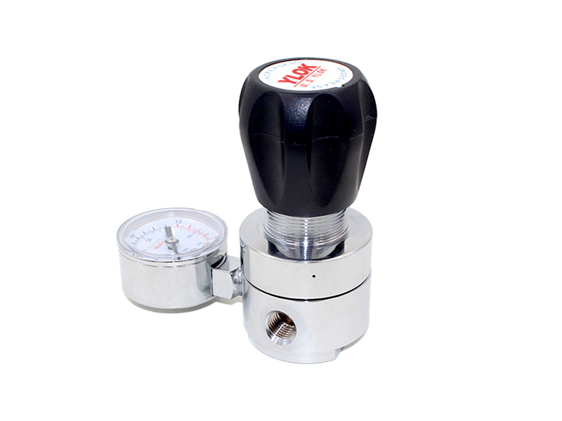 進(jìn)口大流量背壓閥