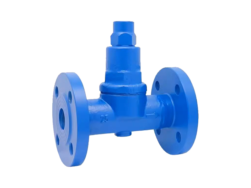 進(jìn)口波紋管式蒸汽疏水閥