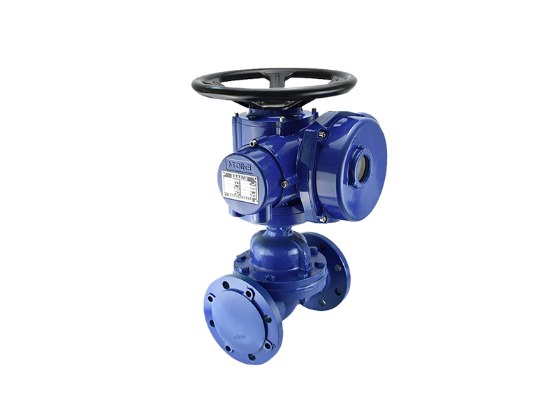 進(jìn)口電動隔膜閥