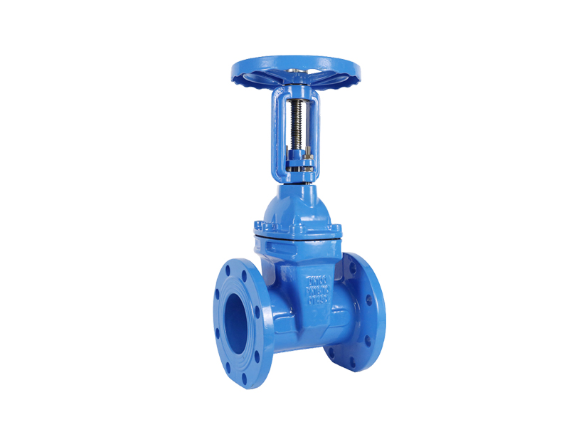 進口軟密封閘閥