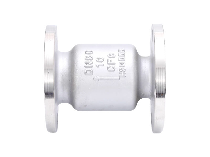 進(jìn)口立式止回閥