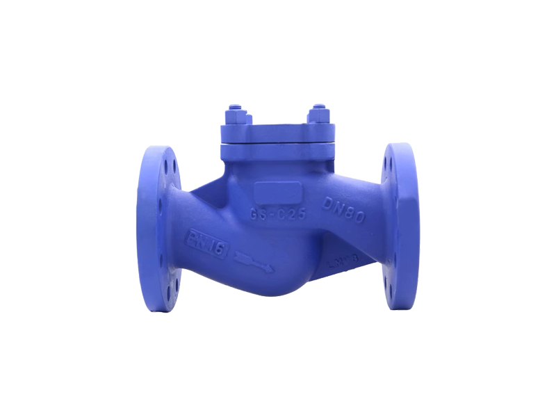 進(jìn)口蒸汽止回閥