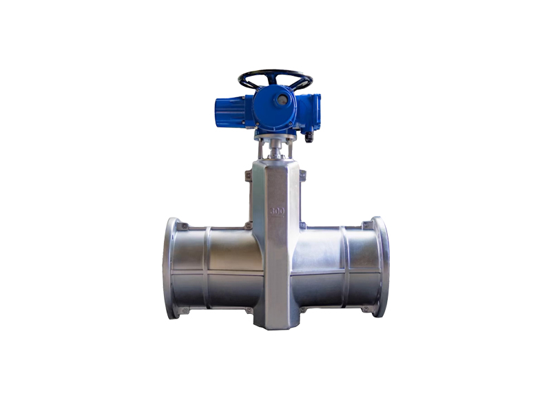 進(jìn)口電動管夾閥